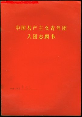 入团志愿书