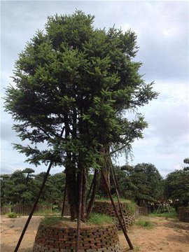 22/7: 8+3=? 22/7: 8+3=?