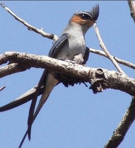 雨燕体育直播高清无延迟畅享顶级赛事全程覆盖热门球赛即时观看体验