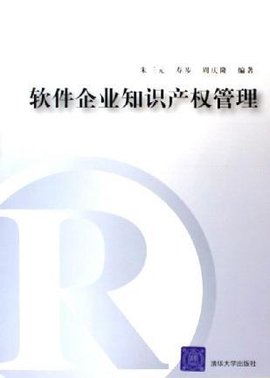 软件企业知识产权管理