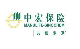 中宏人寿保险有限公司_360百科