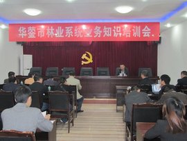 华蓥汽修厂