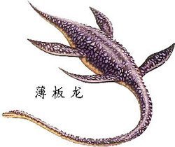 薄板龙_360百科