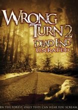肢解狂魔2死路 / 肢解狂魔2 / 鬼挡路2 / Wrong Turn 2: Dead End海报