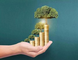 基金调研丨天治交易量排名的加密货币交易所- 加密货币交易所基金调研熊猫乳品