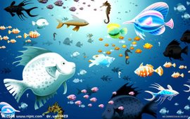 海洋有多少种类 t017945b26dbb1d64e8.jpg?size=336x210