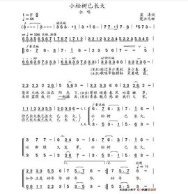 小松树快长大简谱_小松树快长大 雷锋 插曲 简谱