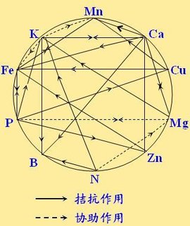 乳酸怎么产生的 t017d99a4d0b5d2072d.jpg?size=320x381
