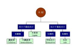 化学性质是什么的性质