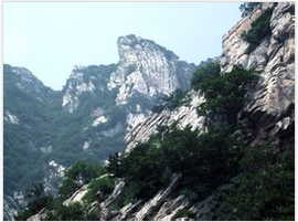 嵯峨 - 汉语词语  免费编辑   修改义项名
