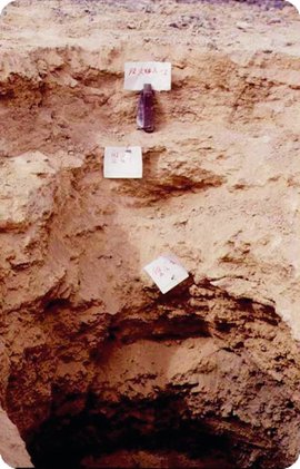 荒漠土  免费编辑   添加义项名