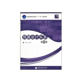 预算会计实务第三版