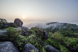 福建梅花山國家級自然保護(hù)區(qū)