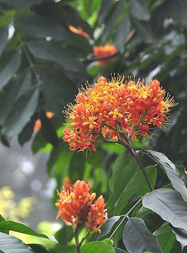 t01a4b3cb7a63bc10aa.jpg?size=1665x2249