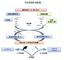 法的作用  免费编辑   添加义项名