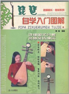 琵琶自学入门图解