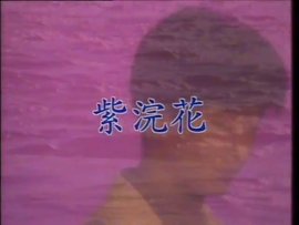 紫浣花简谱_儿歌简谱
