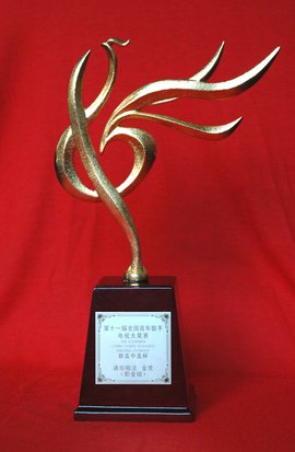 第十一届CCTV青年歌手电视大奖赛