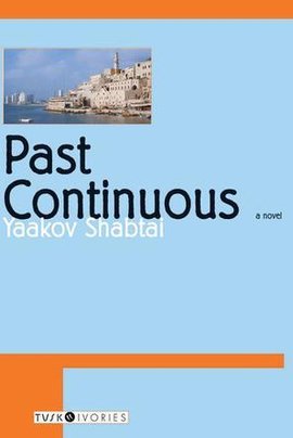 Past Continuous