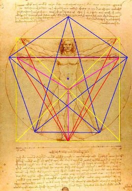 人体黄金分割  免费编辑   添加义项名