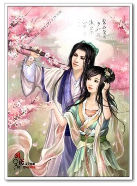 美人神医俏公主