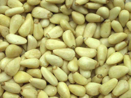 松子 - 植物种子  免费编辑   修改义项名