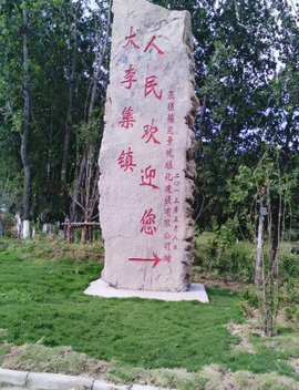 聚焦粮食购销:在市场洪流中稳住农业根基