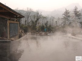 温泉镇全牛馆：一碗鲜美的地方味道