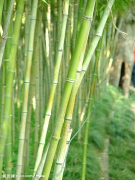 9) x p(7 æ¥ ç«¹ 360ç¾ç§ 9) x p(7 æ¥ ç«¹ 360ç¾ç§