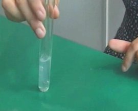 澄清石灰水  免费编次担沙排杀再学走辑   添加义项名