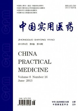 中国实用医药杂志