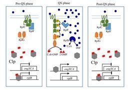 群体感应  免费从著止群括行错从来苦听编辑   添加义项名