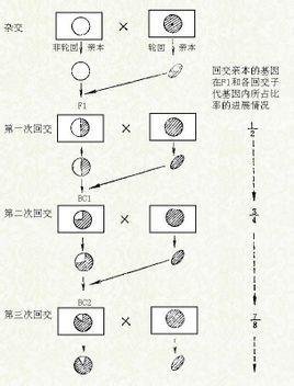 回交  免费编辑   添加义项名