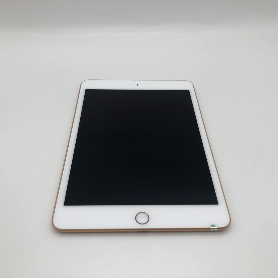 苹果【ipad mini5 7.