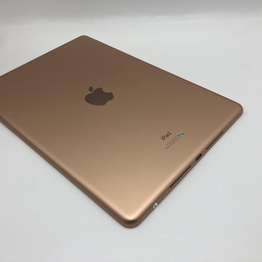 2英寸 20款】wifi版 金色 32g 国行 99新 真机实拍 保修2021-11-20