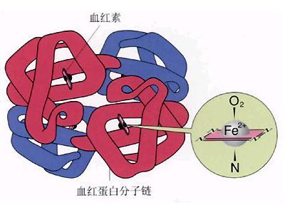 高鐵血紅蛋白 (醫學名詞)