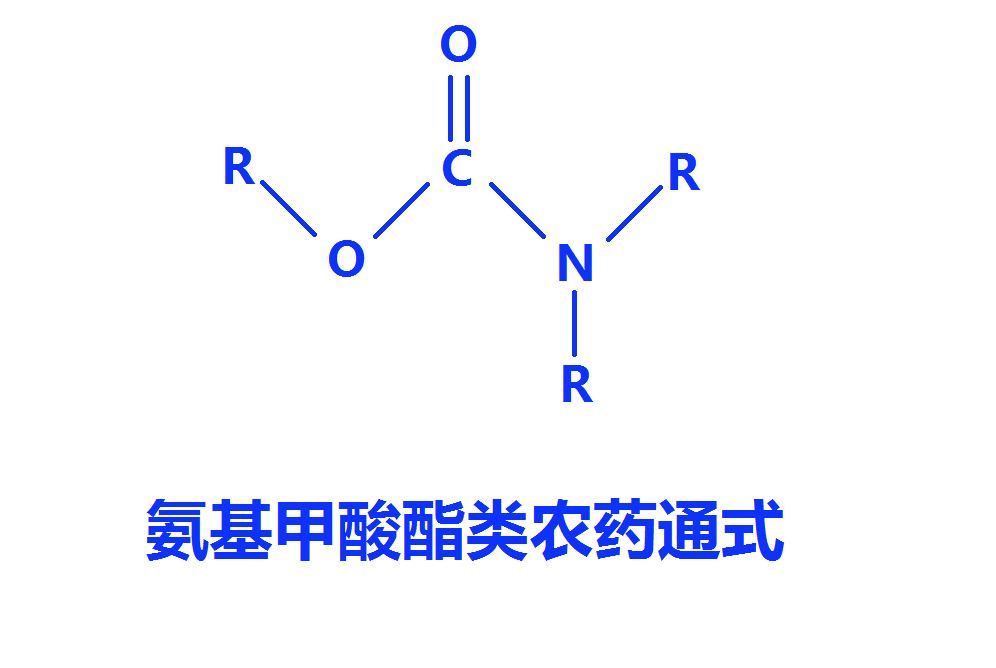 氨基甲酸酯類農藥農學