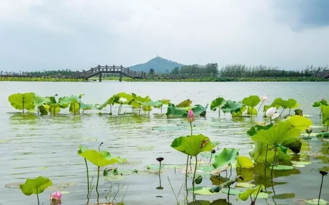 仙山湖(景點)仙山湖風景旅遊區位於長興縣最西端的江,浙,皖高速,杭長