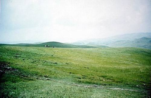 奎香雨龙山非生物