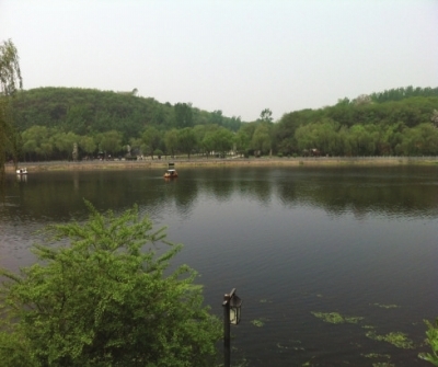 新密曲梁溱水湿地公园图片