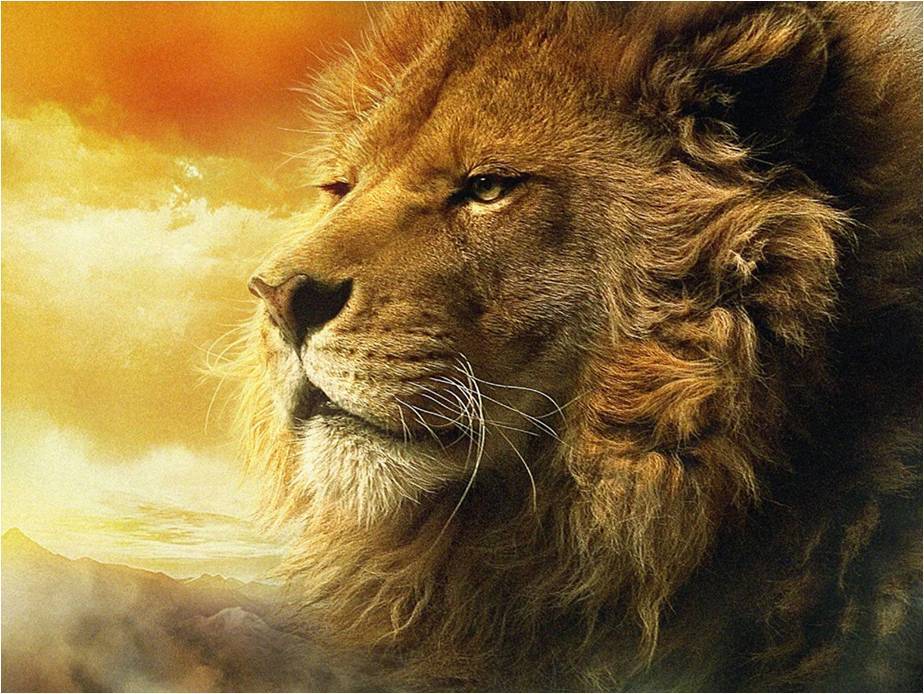 阿斯兰狮王图片