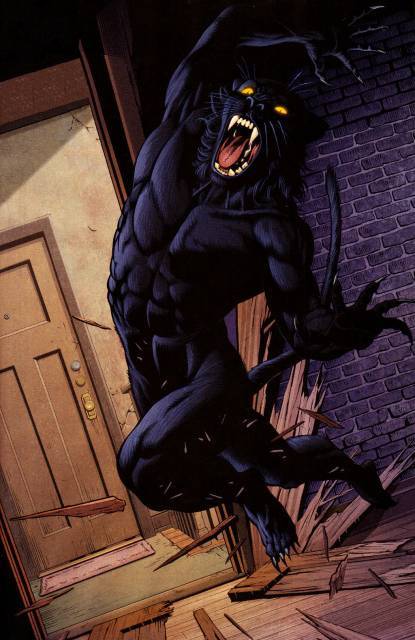 3)是美国科幻类电视剧系列剧《女女超人第三季(词条暂无分类)卡琳·格