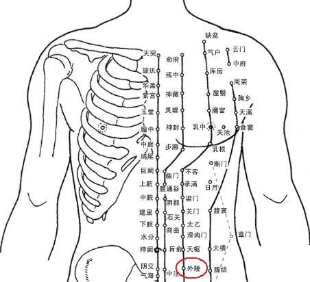 肩外陵的准确位置图图片
