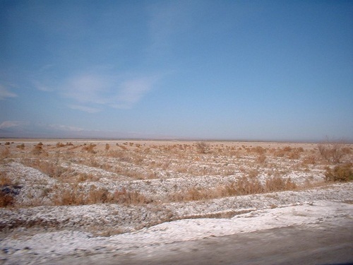 碱化土壤非生物