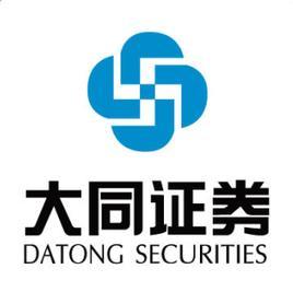 大同证券公司 (公司)