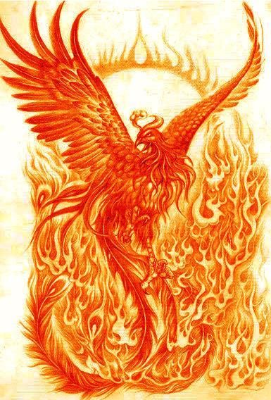 凤凰 - 中国古代传说动物