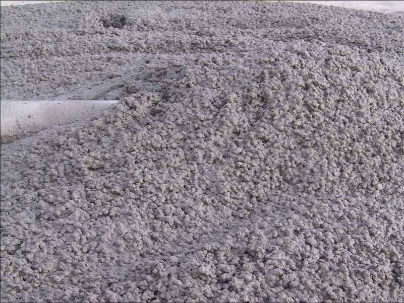 混凝土拌合物(其他物理学相关)