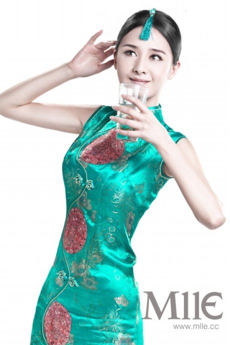 靡丽 (汉语词汇)