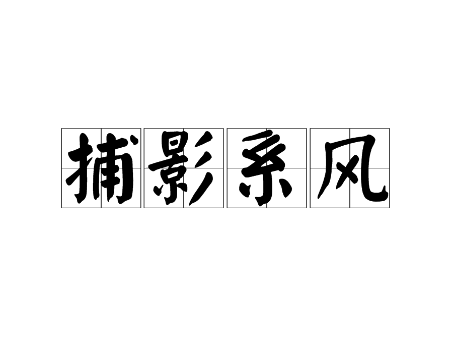 個漢語成語,讀音為bǔ yǐng xì fēng,意思是風和影子都是抓不著的