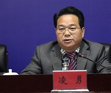 凌勇其他实业人物相关